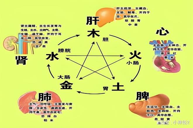 ҽɭΪθøСЧ(ͼ2)